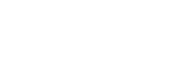 Bündnis 2025